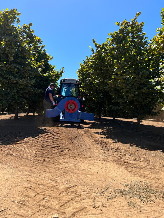 Maquinaria agrícola trabajando en un huerto de avellano europeo